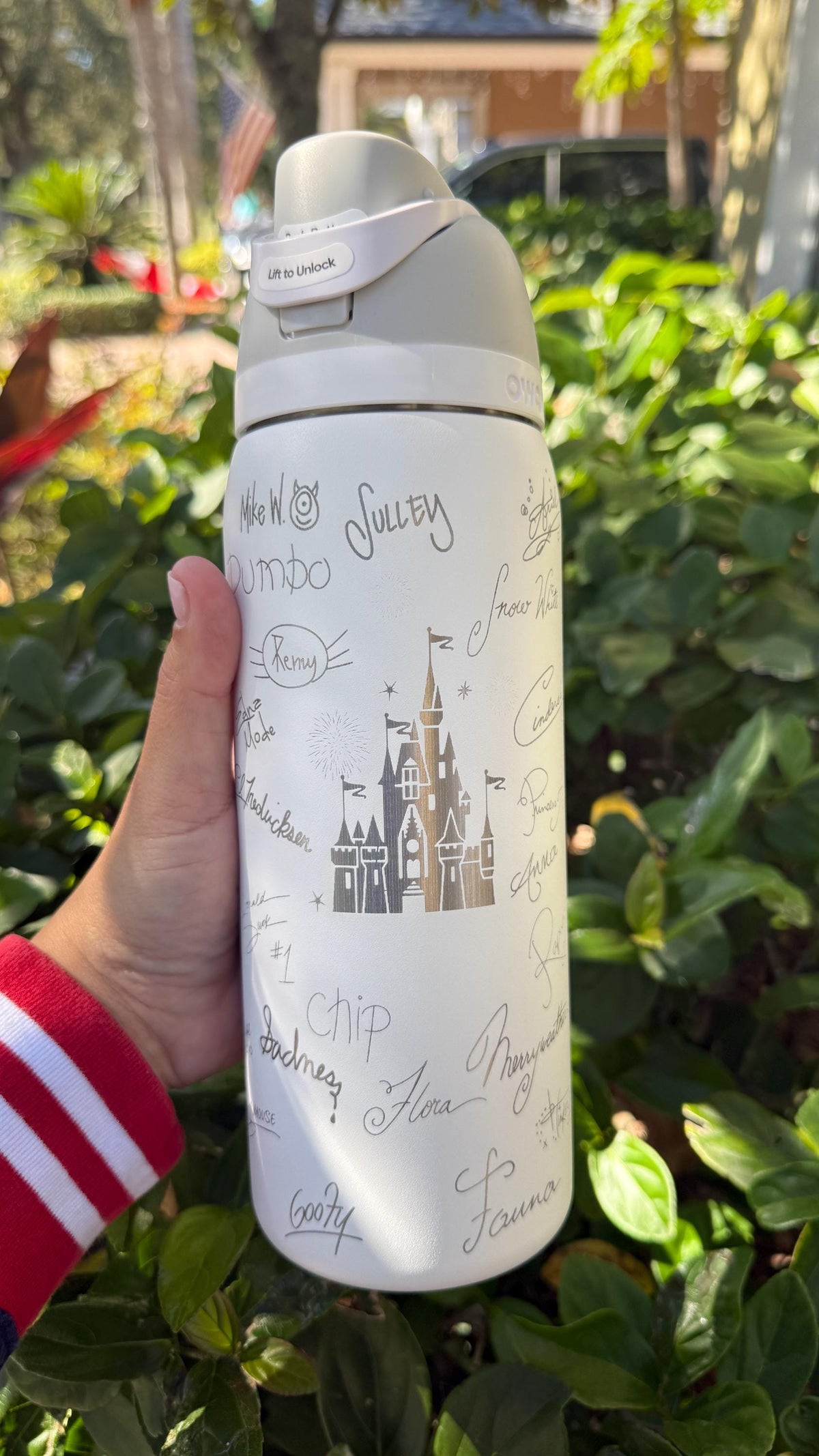 White Owala FreeSip laser engraved with a castle and Disney-inspired character signatures