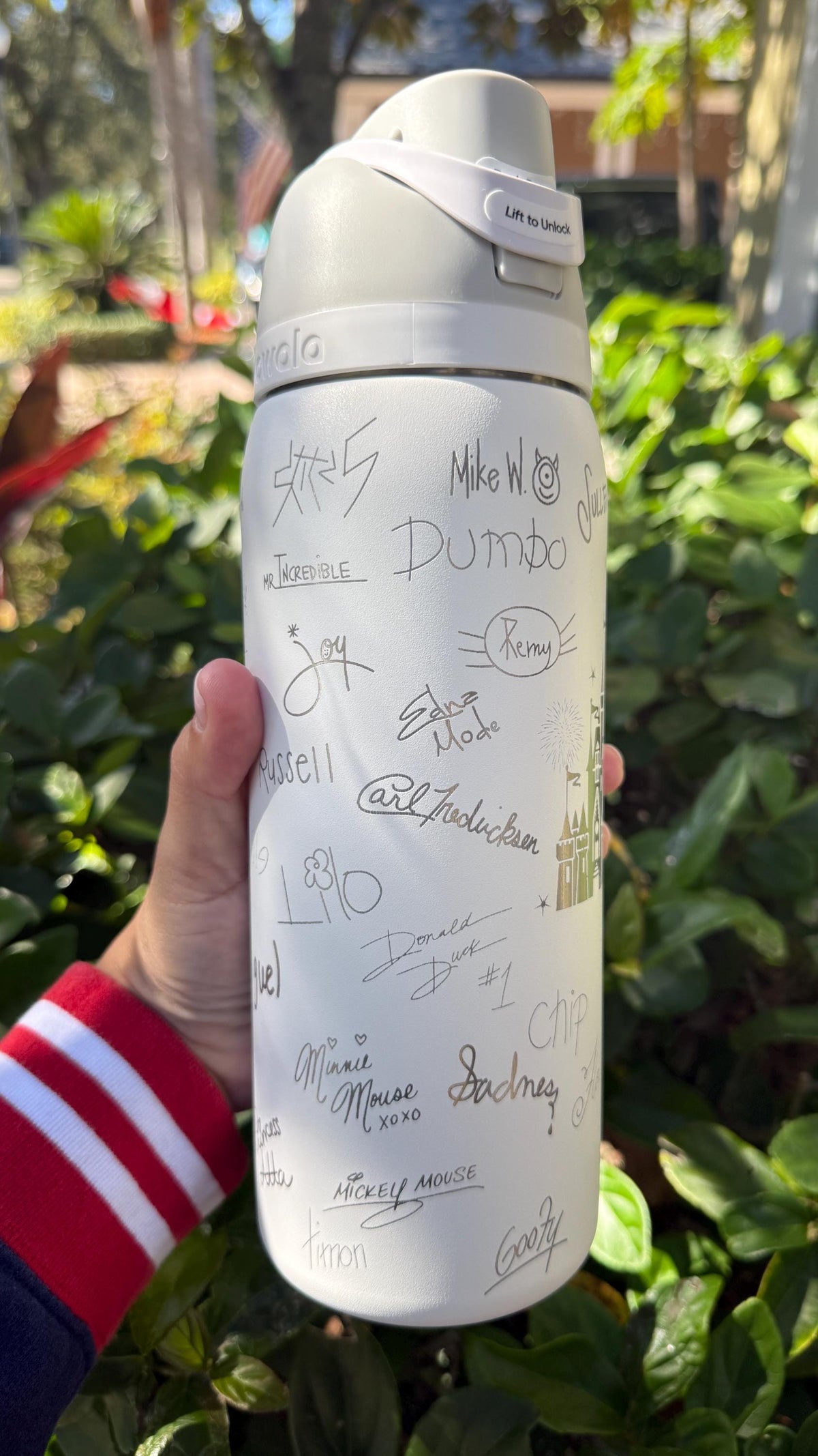 Engraved Dumbo and character signatures on a white Owala